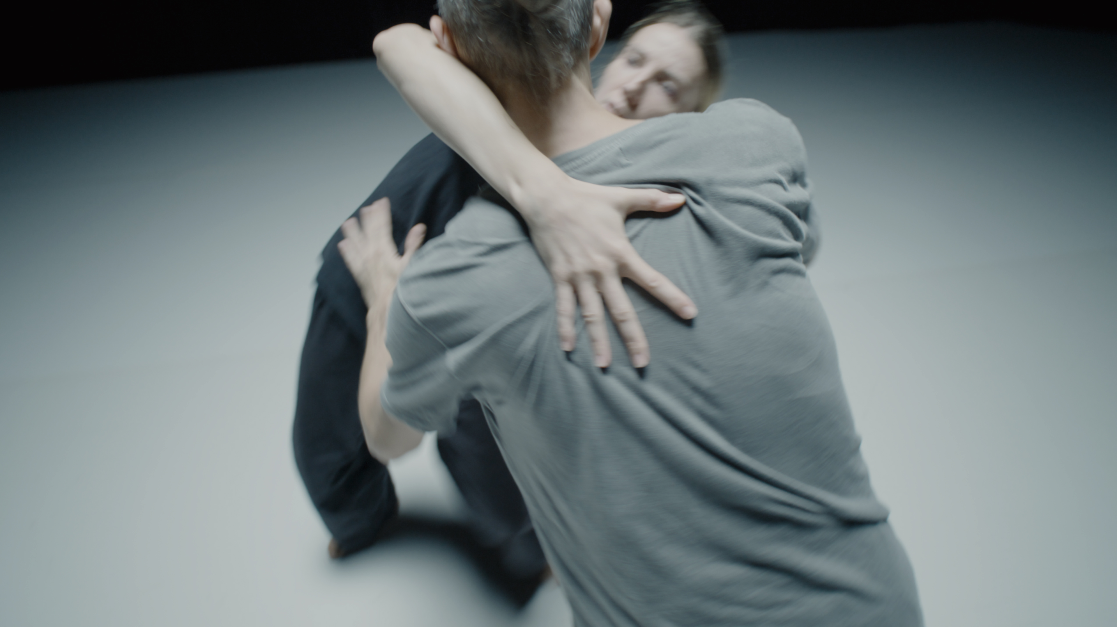 Compagnie Linga Le Bal